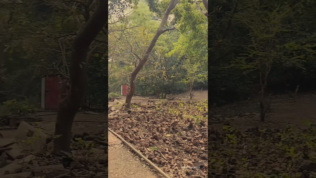 Ananthagiri Hills | Vikarabad | Trekking.        #trekking #vikarabad #ananthagirihills #sightseeing