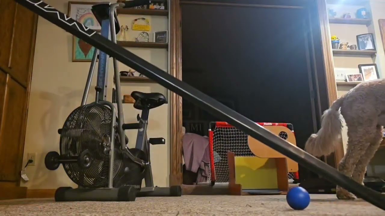 Impossible Hockey Trick Shot
