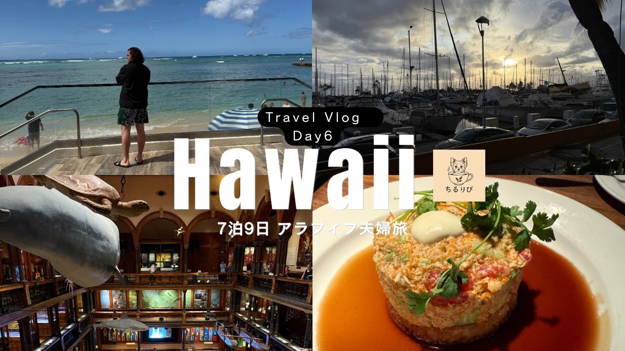 【ハワイVlog Day6】アラフィフ夫婦の7泊9日旅！ビショップミュージアムにもヒルトンからTheBusで出発！、ランチは丸亀製麵ダウンタウン店、チャートハウスでサンセット🍹🌴