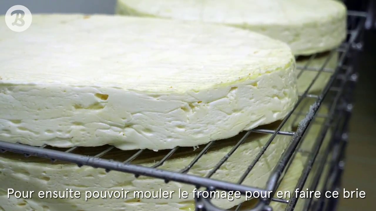 La ferme qui truffe le brie en Seine-et-Marne