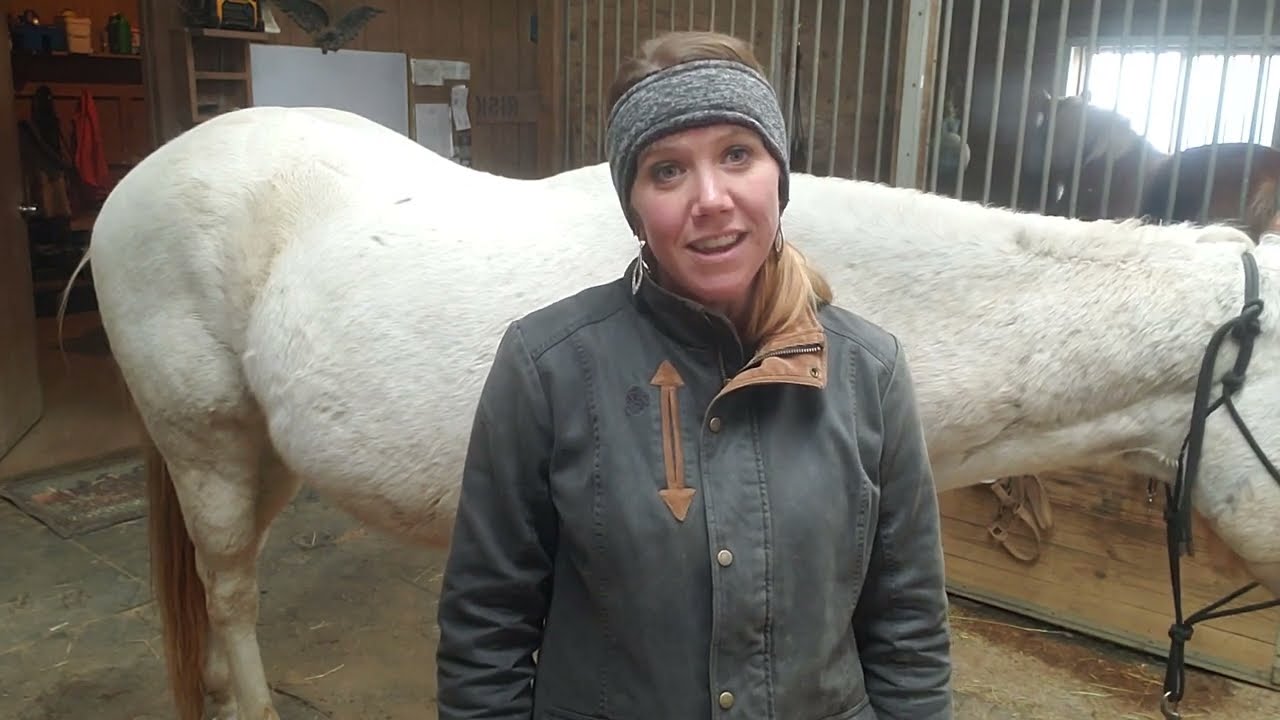 How to Stimulate your Horse's Diaphragm