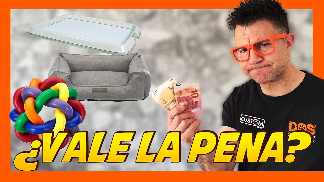 Juguetes y material para tu cachorro 📝🤔 | Adiestramiento Canino 🐶