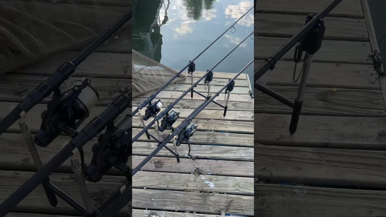 On the docks | MUST WATCH | CARP FISHING SOUTH AFRICA
