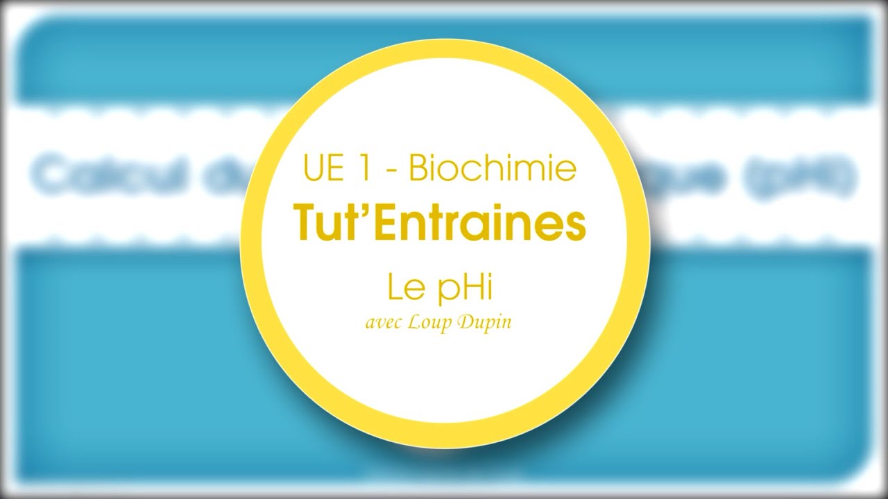 Tut'Entraines: Le pHi