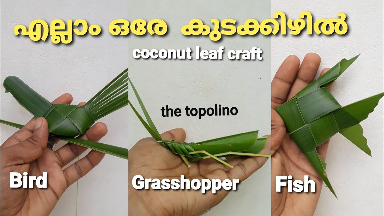 ഓല കിളി,പച്ചകാളാ, മീൻ❤️|how to make coconut leaf  craft |coconut bird, fish,grasshopper|the topolino