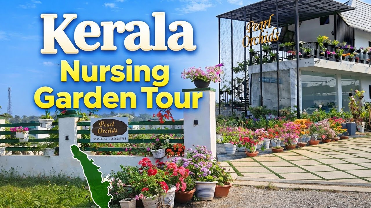 Kerala Nursing Garden Tour 🌸 | Beautiful Flower Nursery Visit