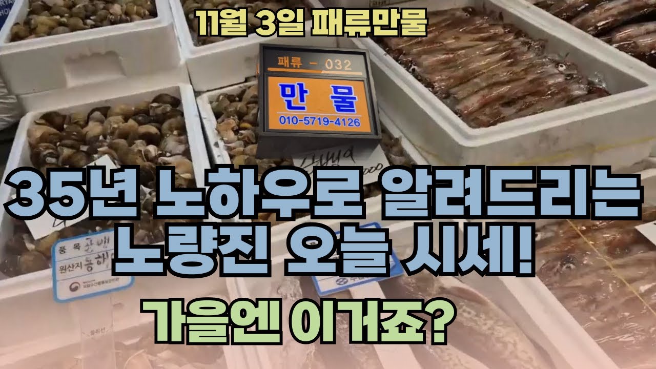 11월 3일 노량진수산시장 만물 (패류031) 시세정보 입니다. 35년 경력으로 믿고 찾아주세요☺