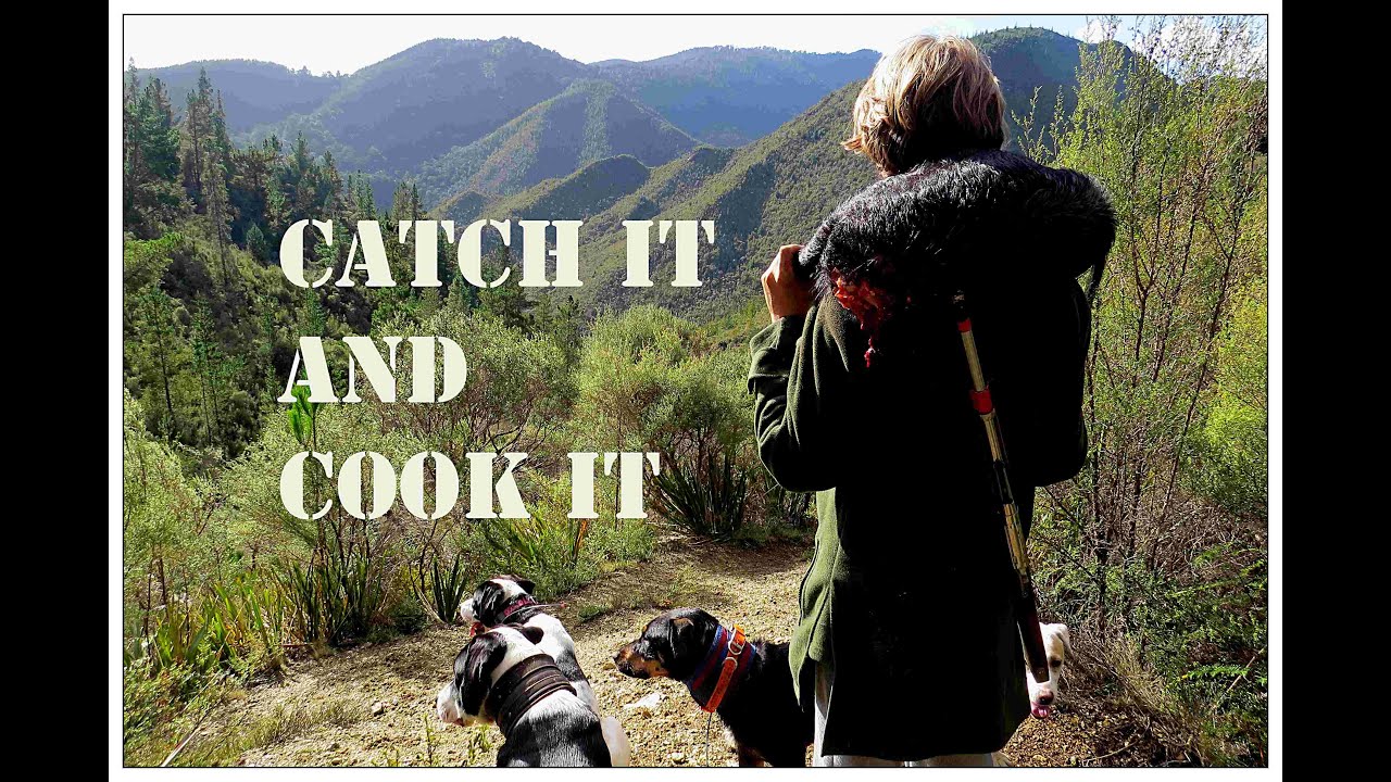 Catch it and cook it