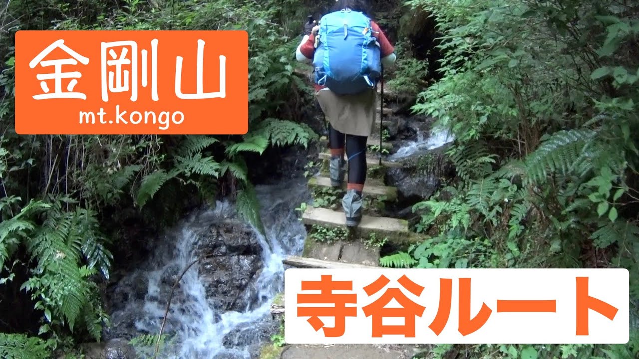 【へっぽこ登山】金剛山#21（大阪府/奈良県）寺谷ルート　階段の横を流れる沢が綺麗やったわ〜♪( ´θ｀)