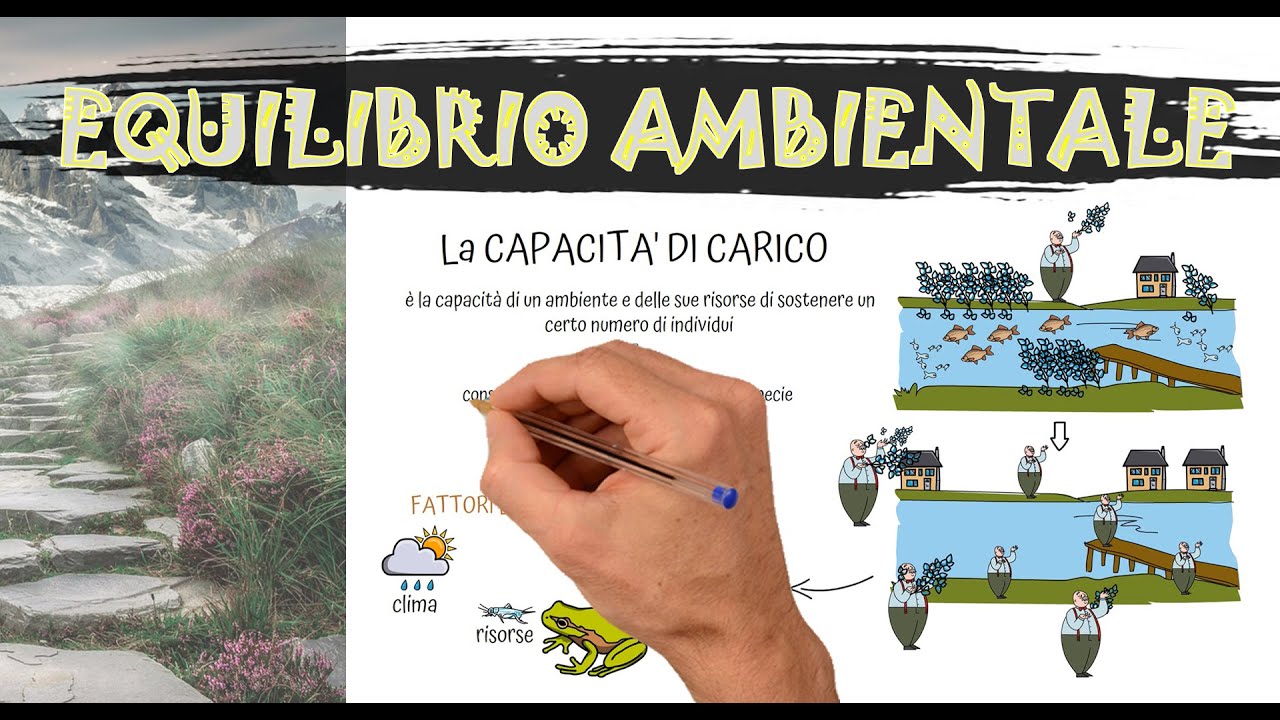 AMBIENTE ed equilibrio dell'ECOSISTEMA. La capacità di carico ambientale