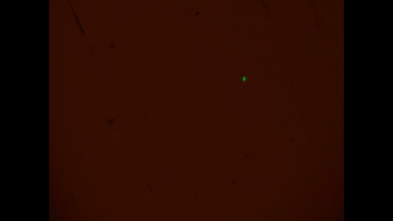 Photoluminescence from nitrogen vacancy centers in diamond