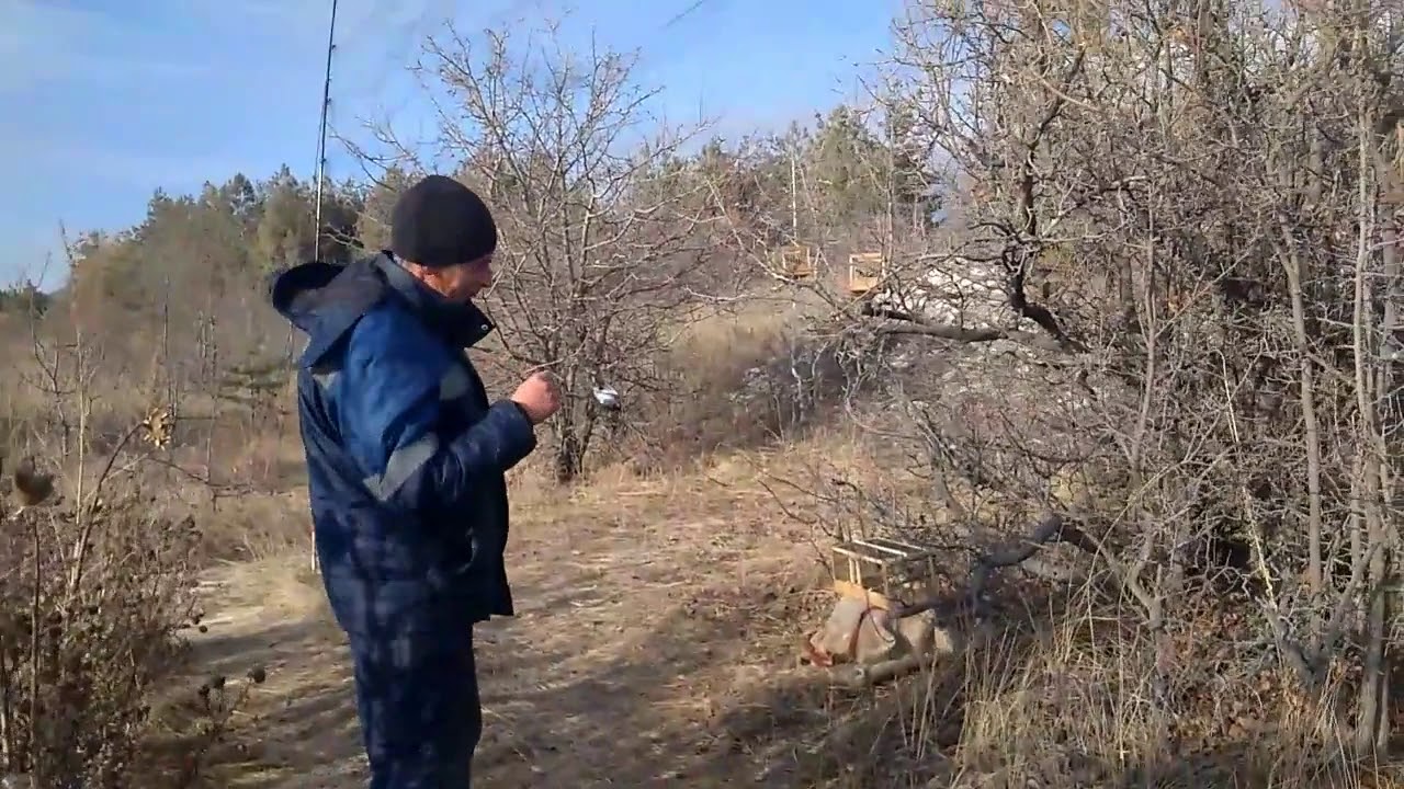 Осенняя сборка ловли в лесу, скоро ловля снегиря, гора и сады
