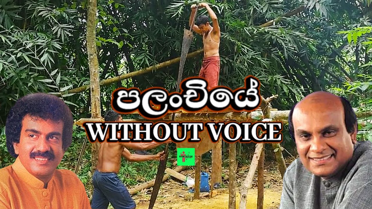 Palanchiye Karaoke (Without Voice)