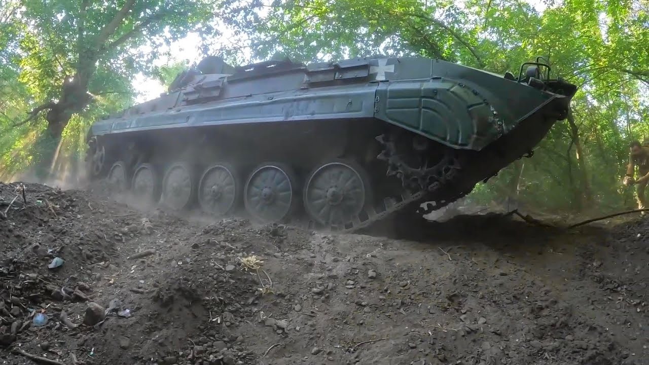 Inside BMP-1 and BMP-2 in action
