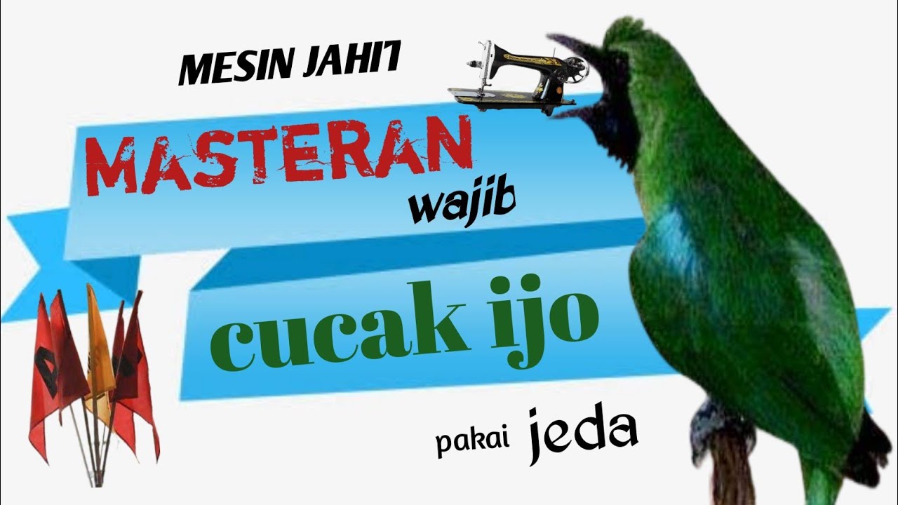 masteran MESIN JAHIT isian wajib CUCAK IJO