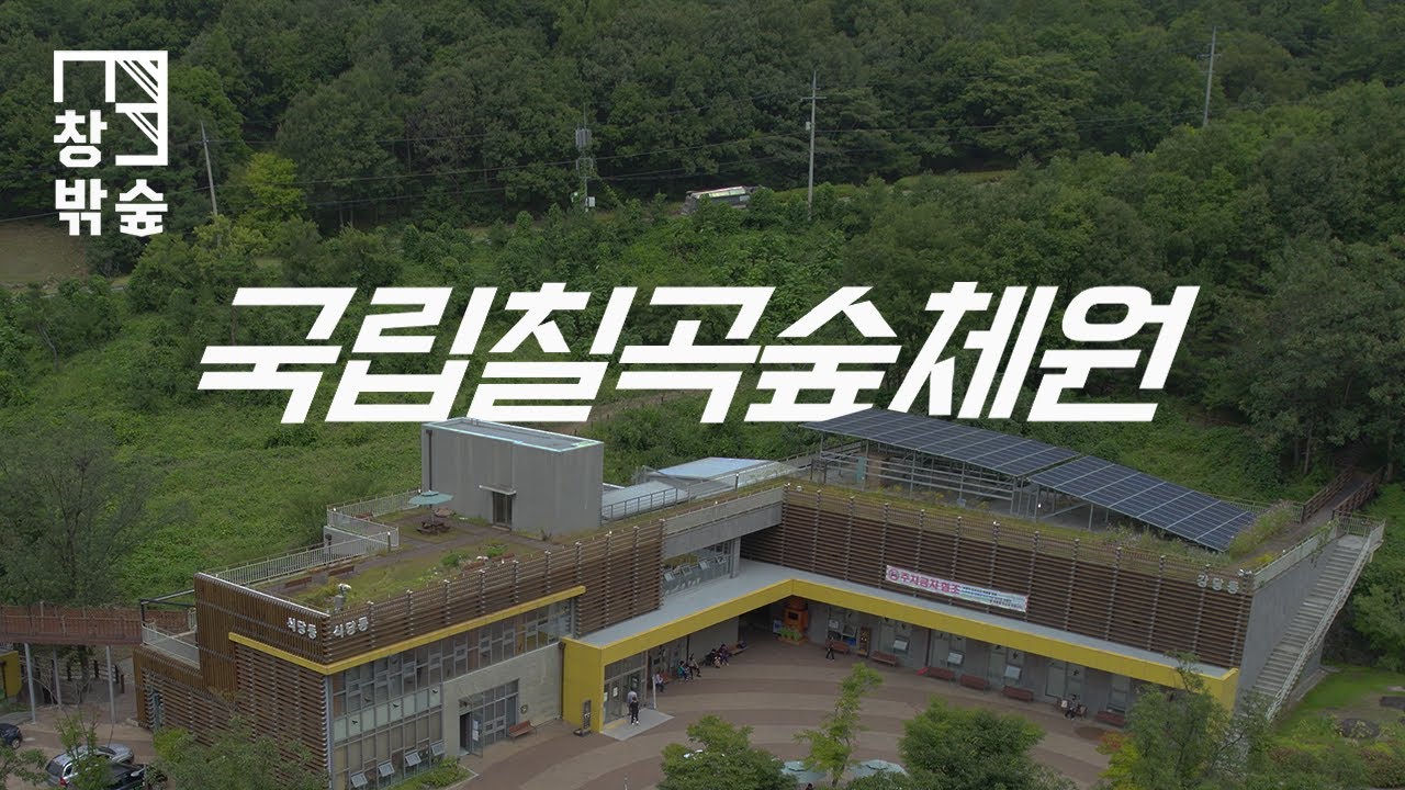 [창밖 숲] 창밖의 숲 풍경 국립칠곡숲체원🌳 (Feat. 포이)