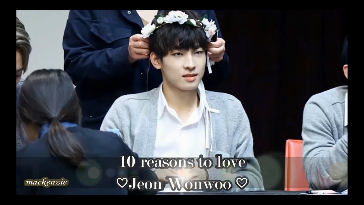 10 reasons to love Wonwoo of SEVENTEEN