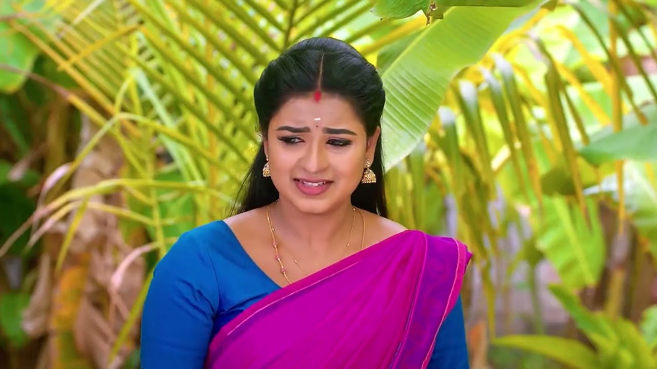 Karthigai Deepam | Ep - 883 | Webisode | Jul 04 2025 | Zee Tamil