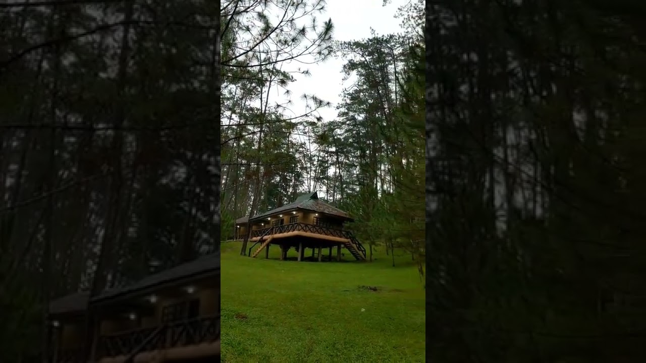 Malaybalay City #travel #bukidnon #trendingshorts #shorts