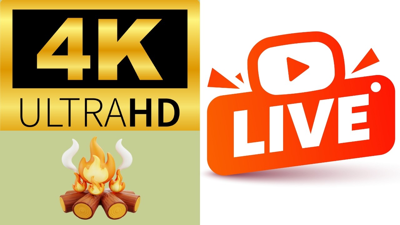 🔴 LIVE Forest Campfire at Night 🔥 Crackling Fire Sounds in the Woods | Deep Sleep & Relaxation 4K