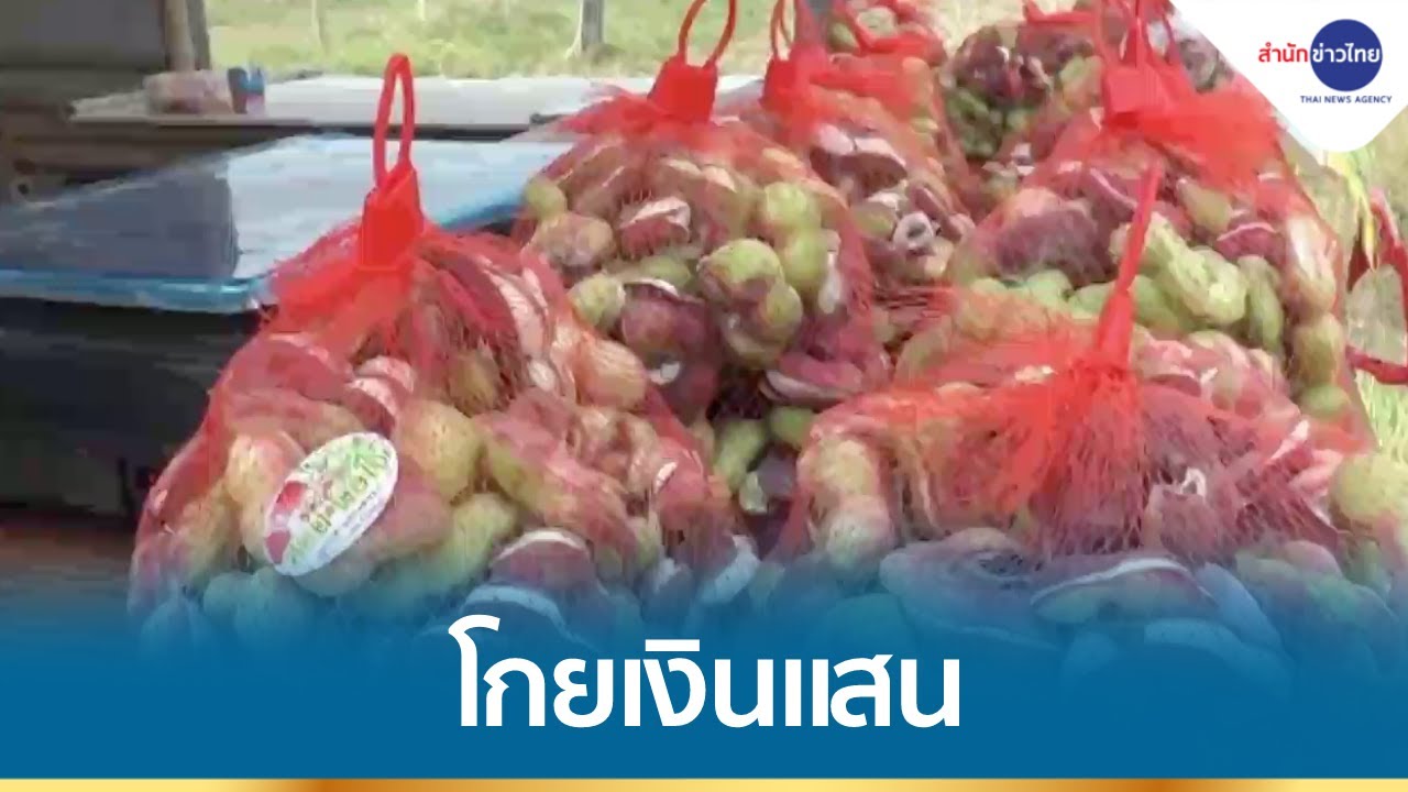 มะขามเทศพันธุ์เพชรโนนไทย โกยเงินแสน