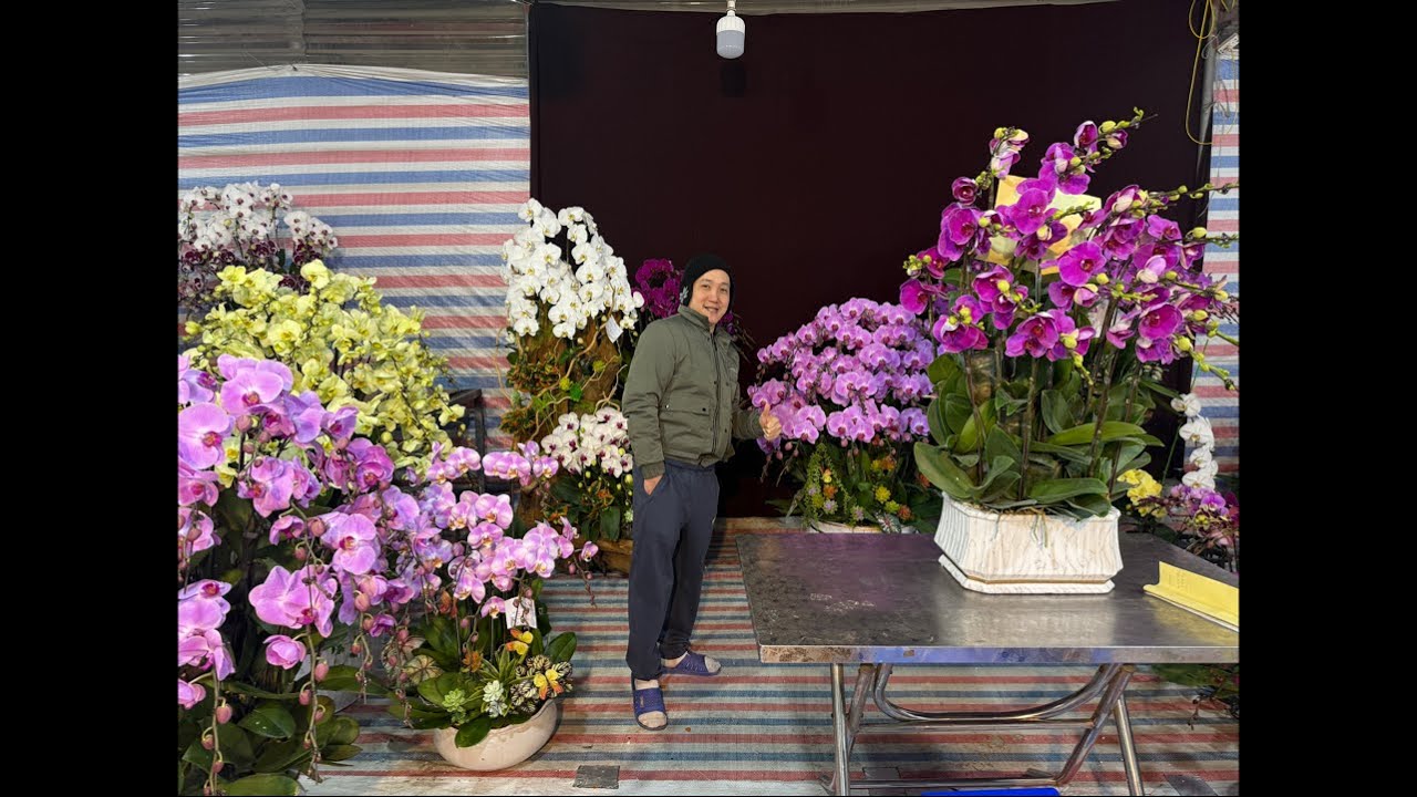 23/1 MUA HỒ ĐIỆP NÀO 0983270995