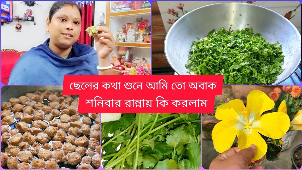 ছেলের কথা শুনে আমি তো অবাক || শনিবার নিরামিষ দিন আমাদের রান্নাবান্না || 