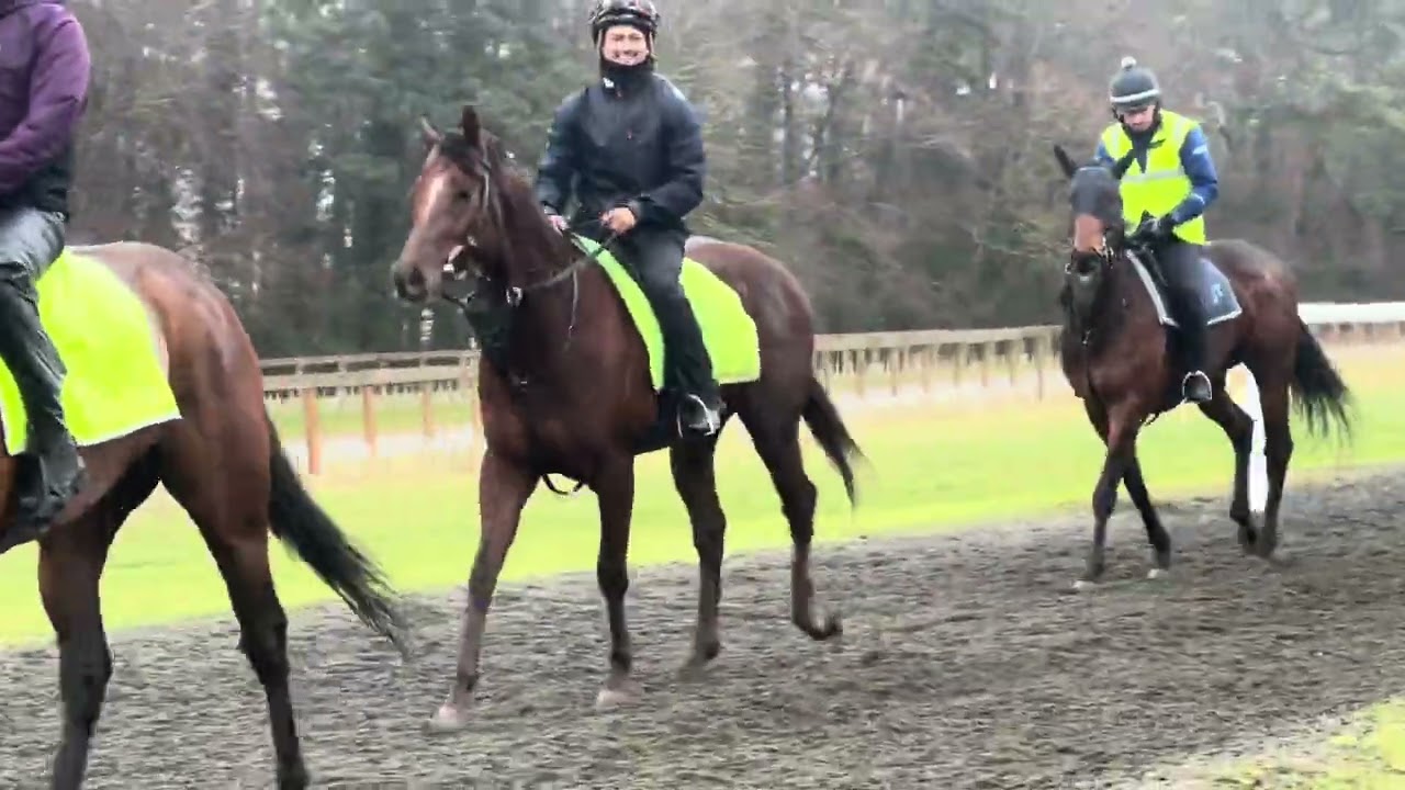 Storm Free - Conditioning work 27/02/26