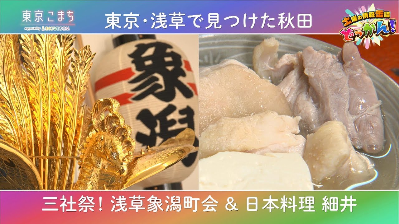 浅草にかつて存在した地名「象潟」に隠された歴史ロマンをたどる✨「土曜の情報缶詰どっかん！」♪東京こまち supported by SHOWROOM♪2025年12月20日放送