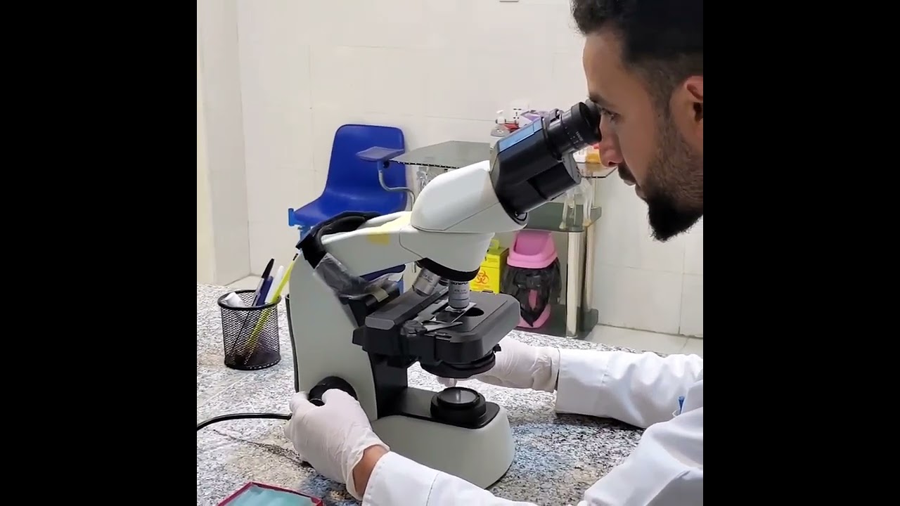 Urine Analysis/ Urine Exam/ طرز اجرای معاینه ادرار