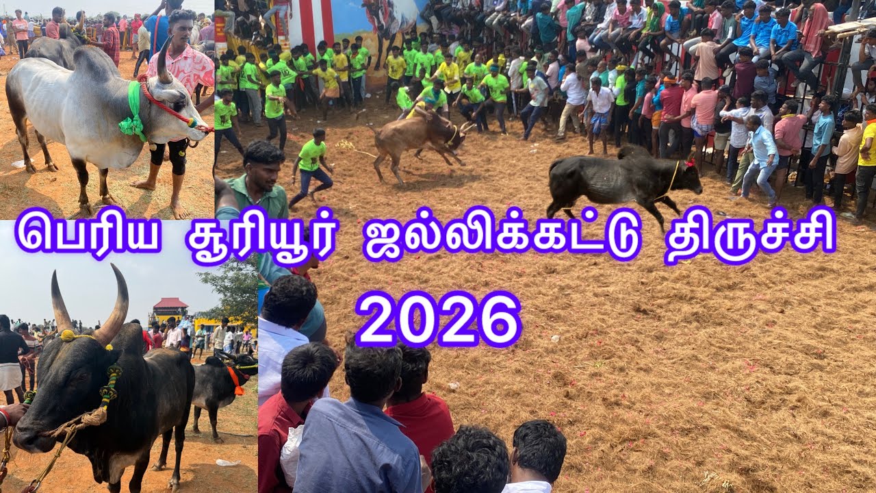பெரிய சூரியூர் ஜல்லிக்கட்டு திருச்சி 2026 / Trichy Periya Sooriyur Jallikattu 2026