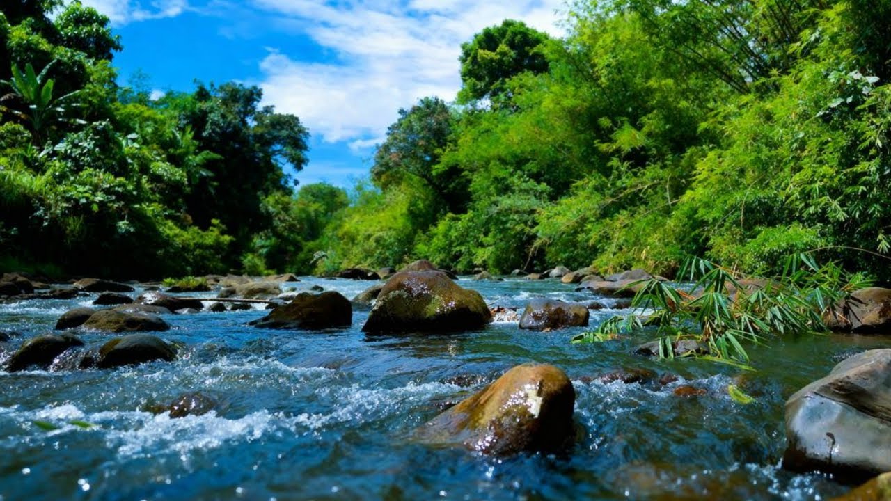 PEACEFUL FOREST STREAM SOUNDS – RELAXING WATER ASMR FOR STRESS RELIEF & HEALING SLEEP