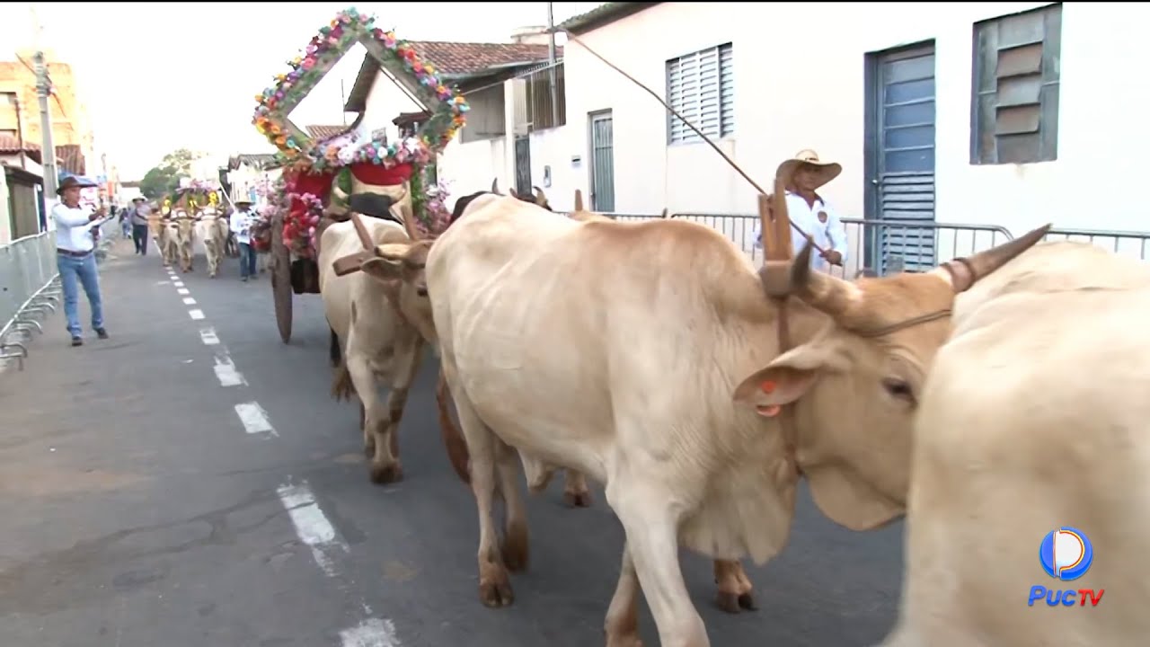 TRADIÇÃO E FÉ: DESFILE DOS CARREIROS REÚNE CERCA DE 500 CARROS DE BOI EM TRINDADE