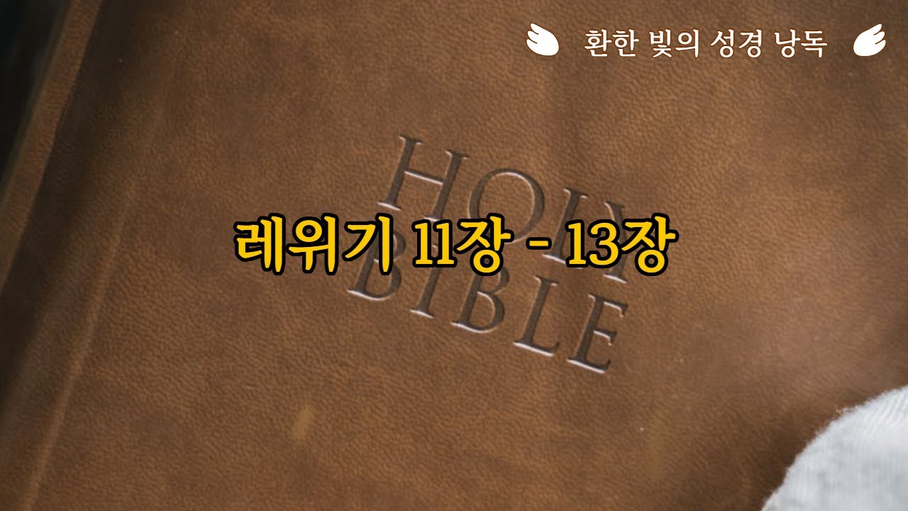 레위기11장- 13장 개역개정 [환한 빛의 성경 낭독]