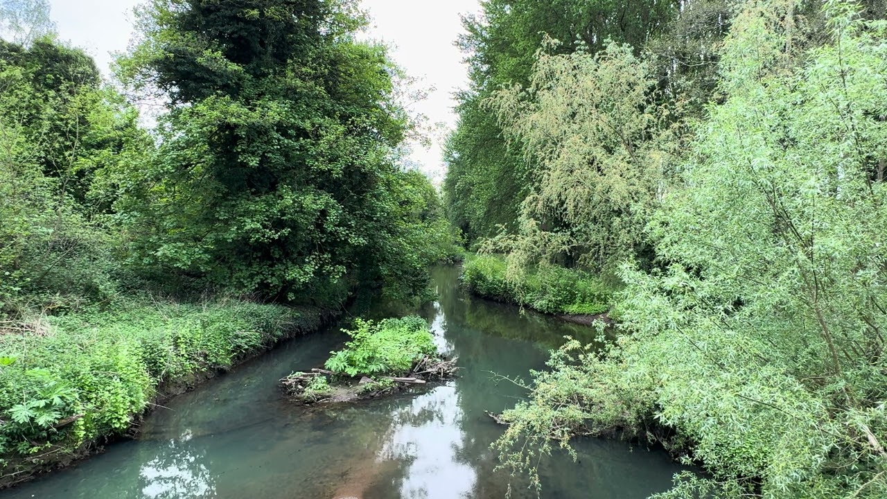 Where Rivers Meet, Nature Sounds & Birds Singing