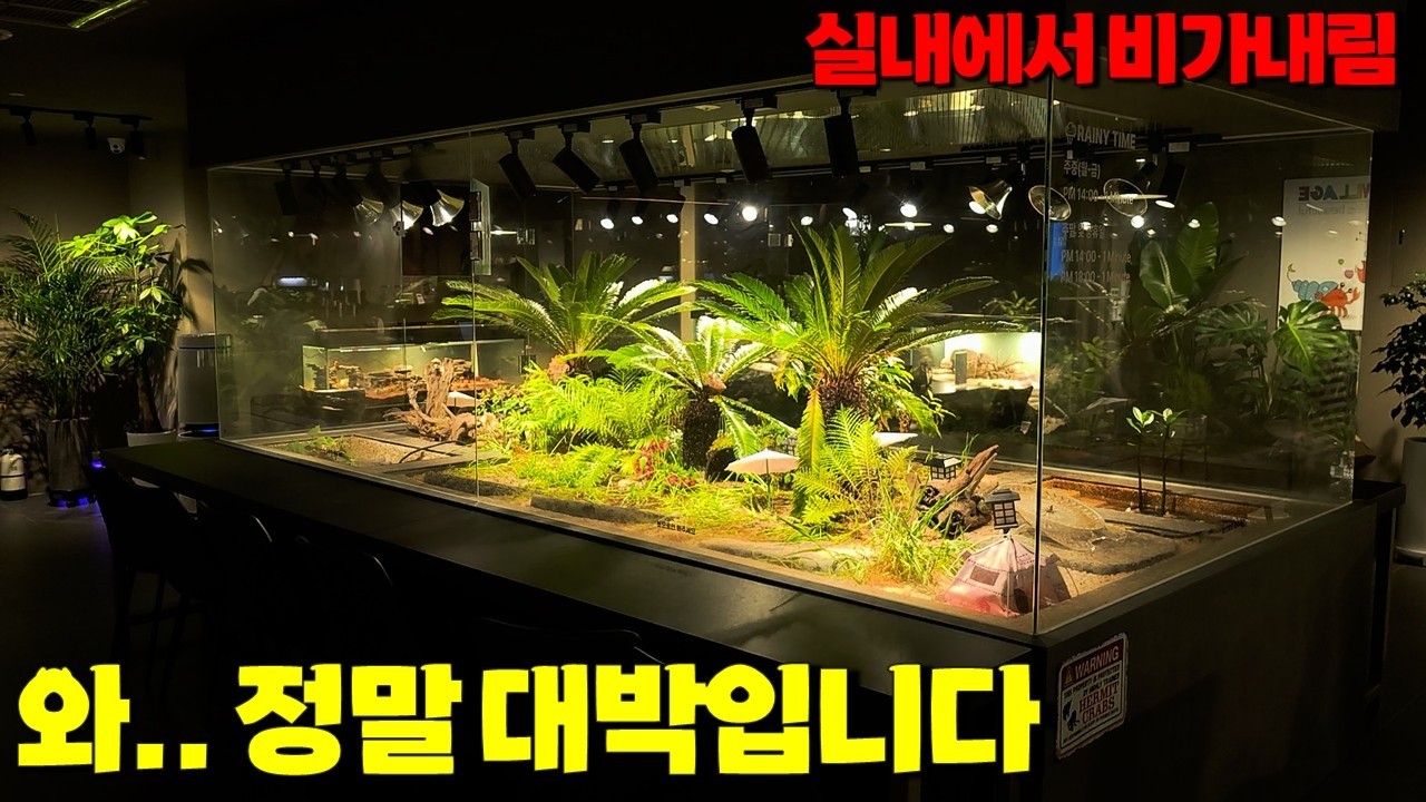 아마 처음보실껍니다.. 오직 '소라게' 하나만을 위한 수족관이라네요..