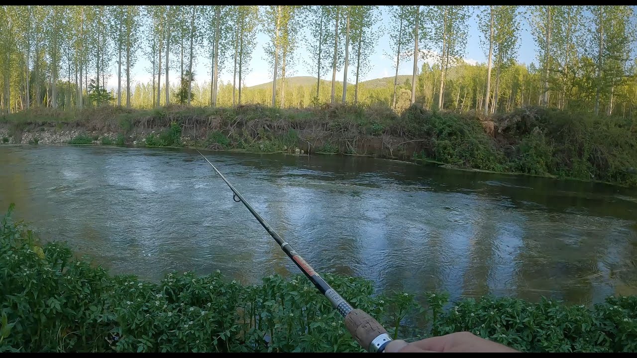 Listo para una emocionante jornada de pesca? Acompáñanos a presenciar una sereno  de tricópteros.