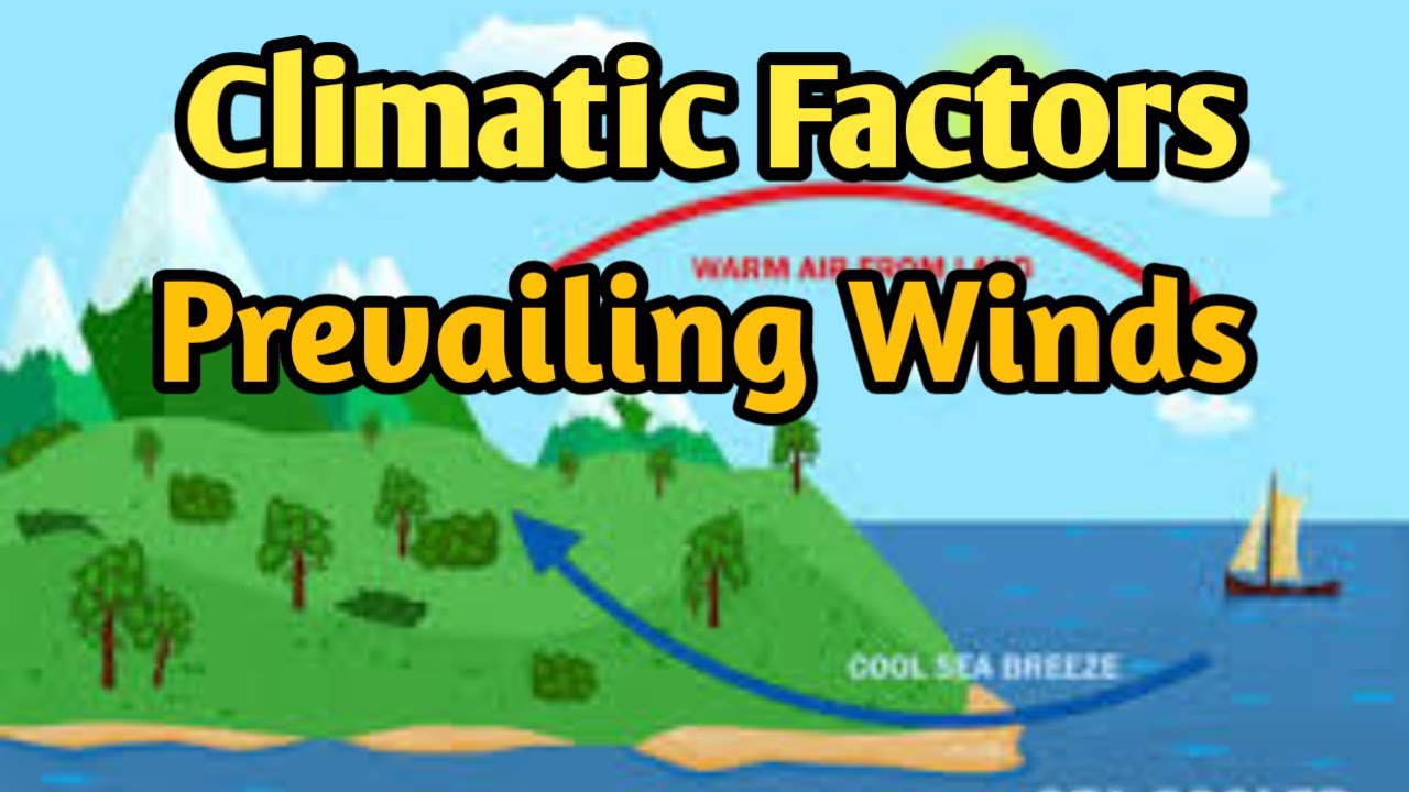 Climatic Factors | Prevailing Winds