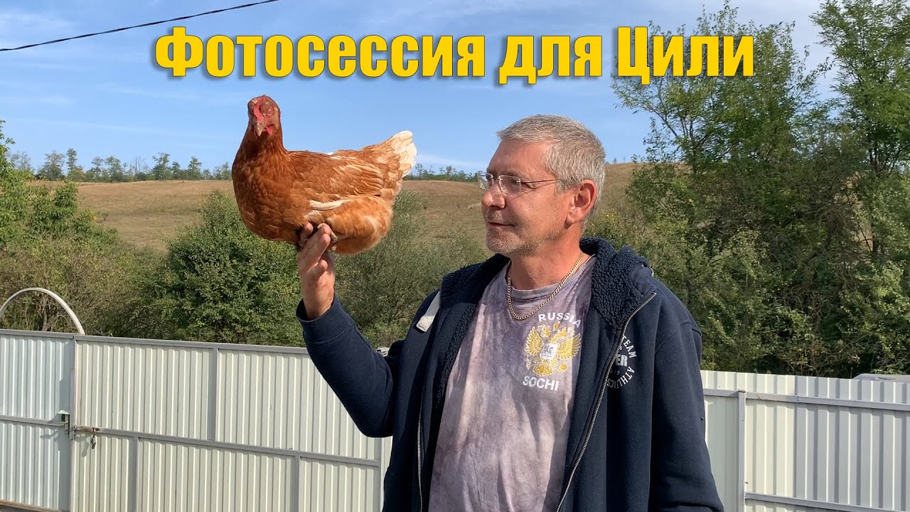 #27 Жизнь в деревне! Прикрутили гипсокартон на потолок. Фотографируем Цилю.
