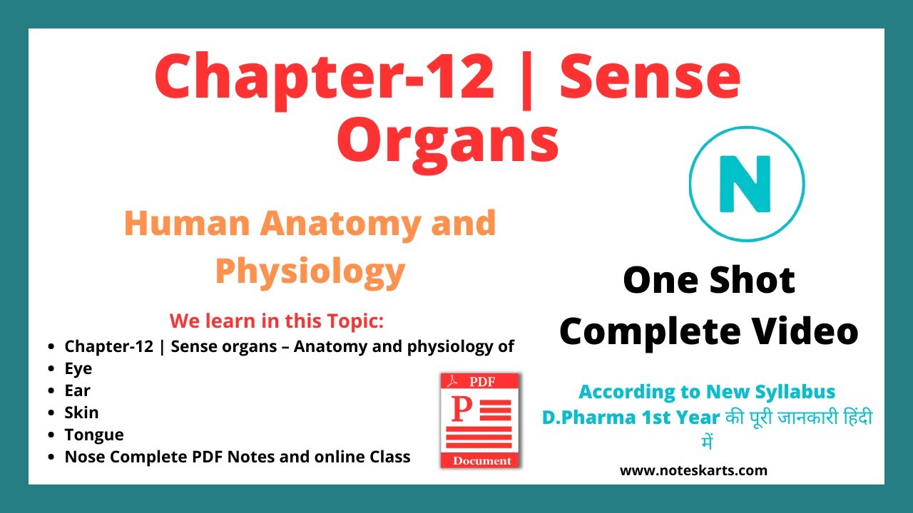 Chapter-12, Sense Organs | HAP, Organ | Skin | Ear | Eye | Tongue | Nose | D.Pharm 1st year
