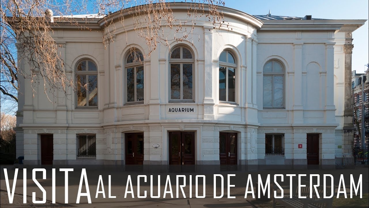 REVIEW: Sobre mi visita al acuario de Amsterdam