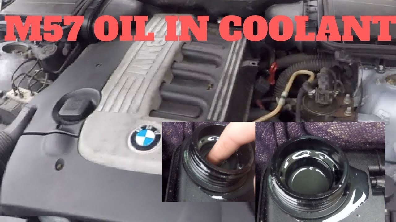 BMW E39 530D/E46 330D (M57) - Oil in coolant fix