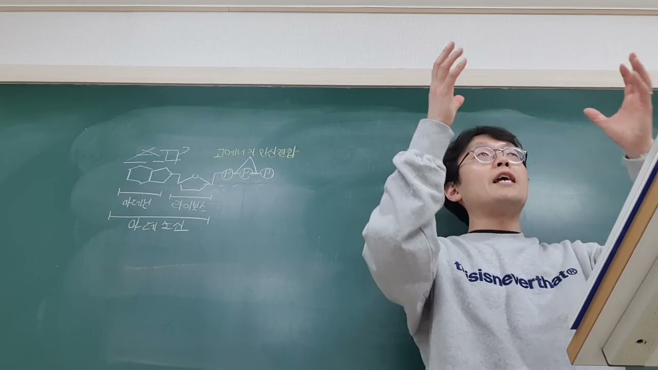 완자 개념문제 문제풀이 및 생태계