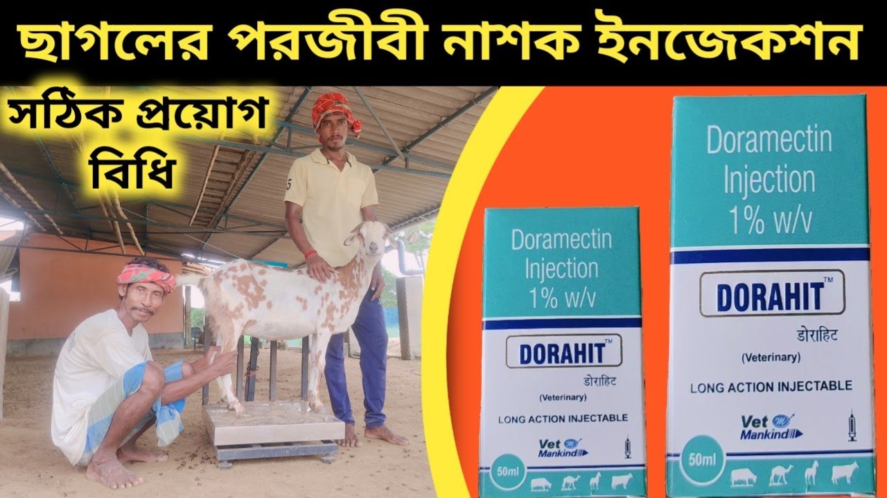ছাগল কে কৃমিনাশক ইনজেকশন লাগানো নিয়ম || Deworming injection use of Goat