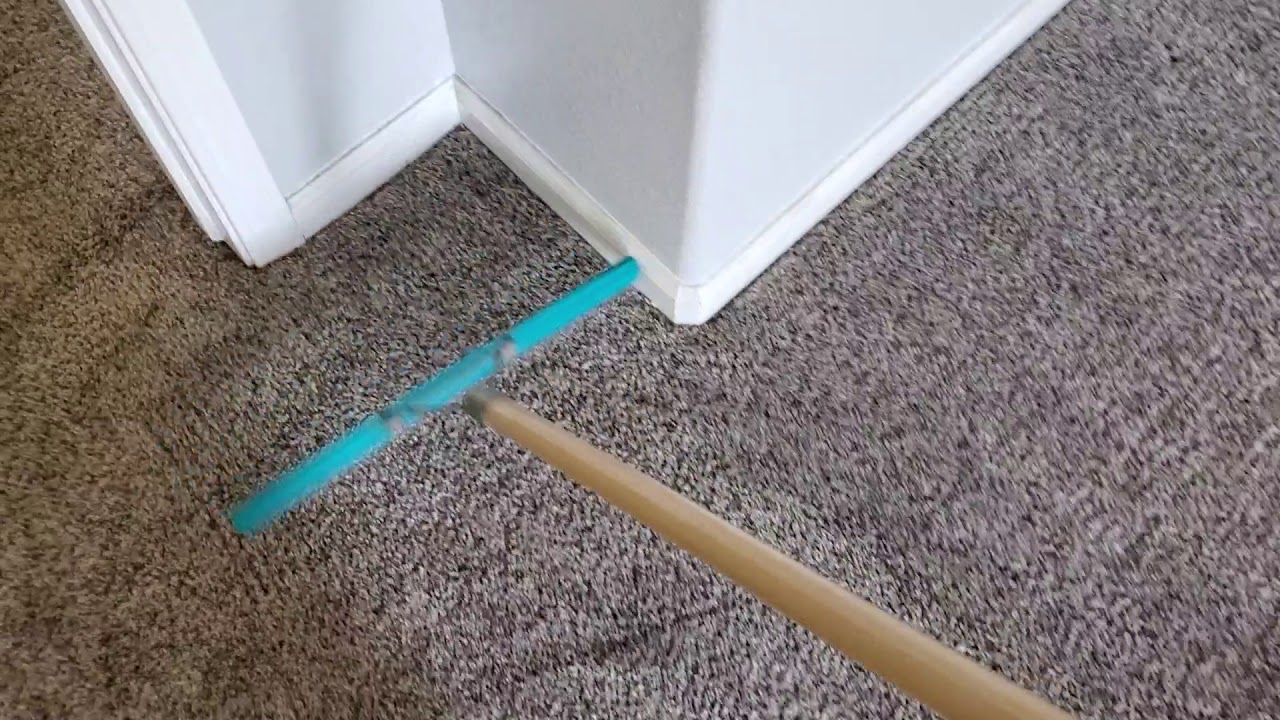 Raking the Carpet after scotchgard application