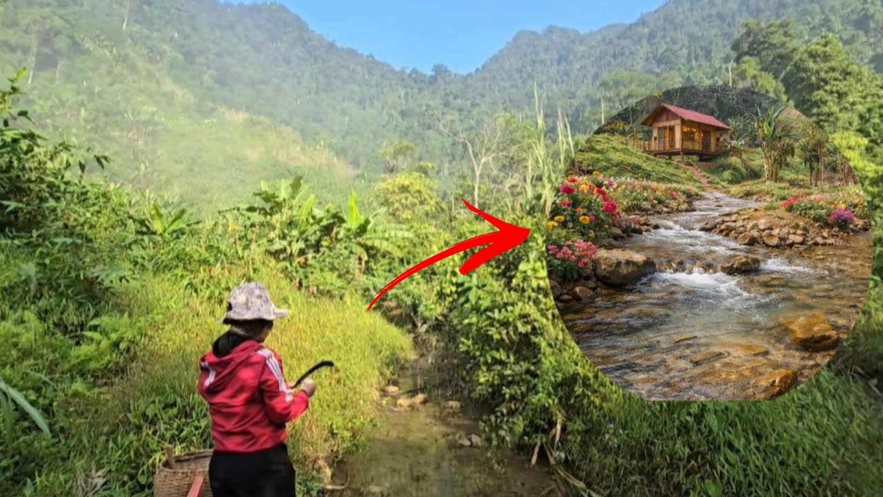 Ly Tien Ca : 120 days of transforming a plot of land in the forest into a mountain garden.