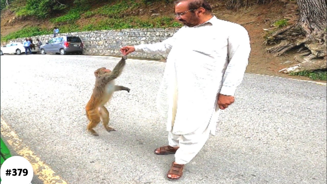 Different Views Of Murree #EastWalks