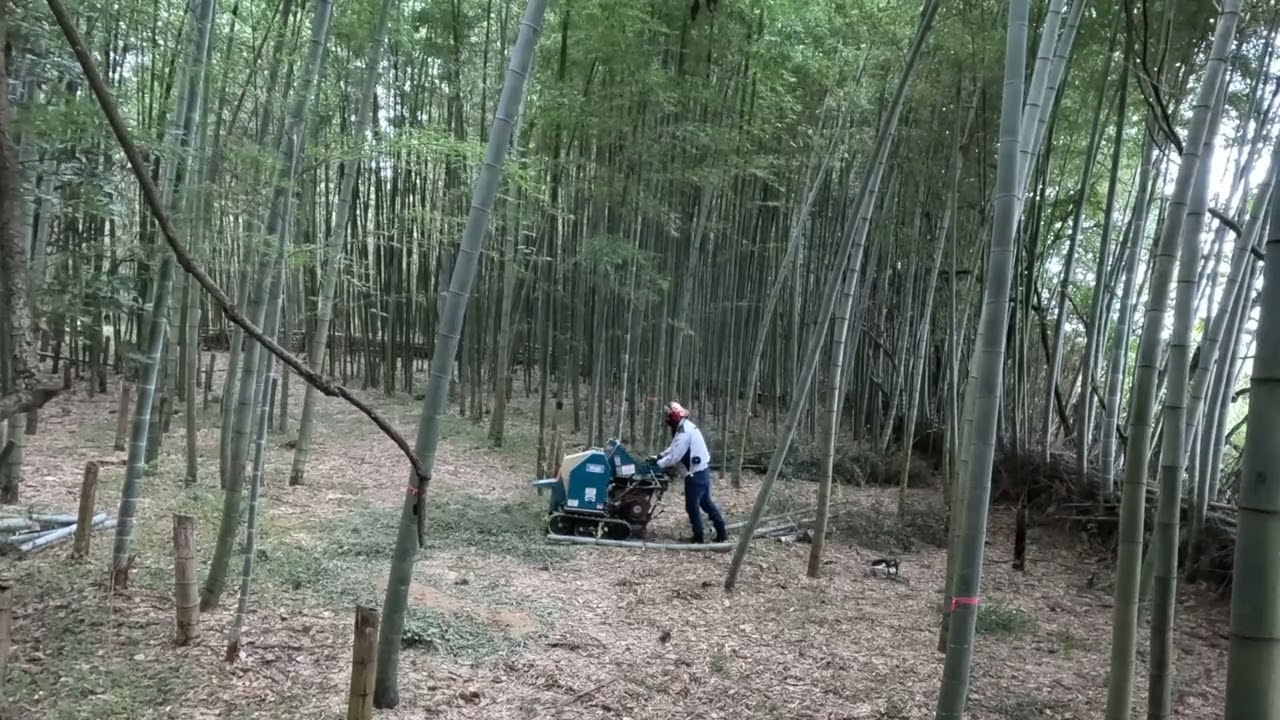 【竹粉砕風景】Bamboo crushing scenery