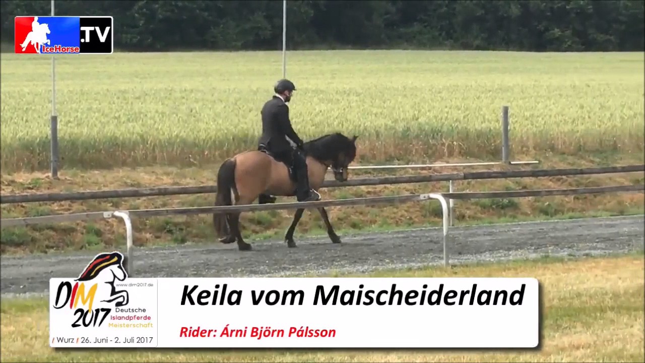 Keila vom Maischeiderland 9,5 für Tölt DIM 2017