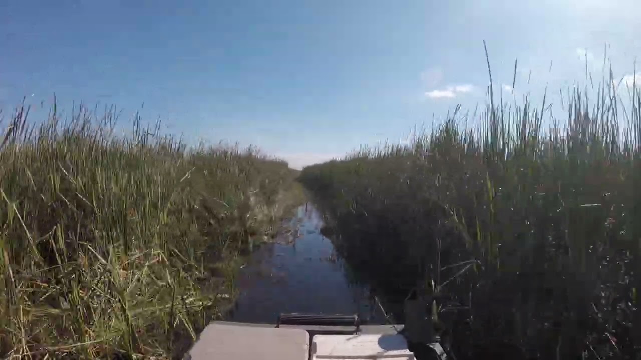 Florida Everglades ride from camp